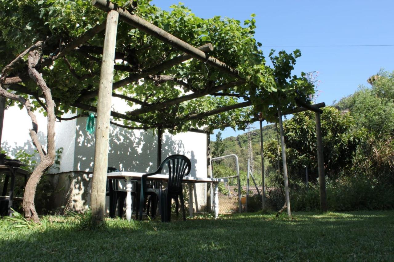 Villa Casa La Maceta à Cadix Extérieur photo